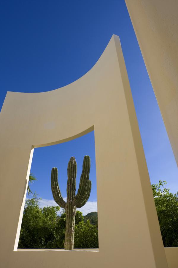 The Towers At Pueblo Bonito Pacifica (Adults Only) 호텔 카보산루카스 외부 사진
