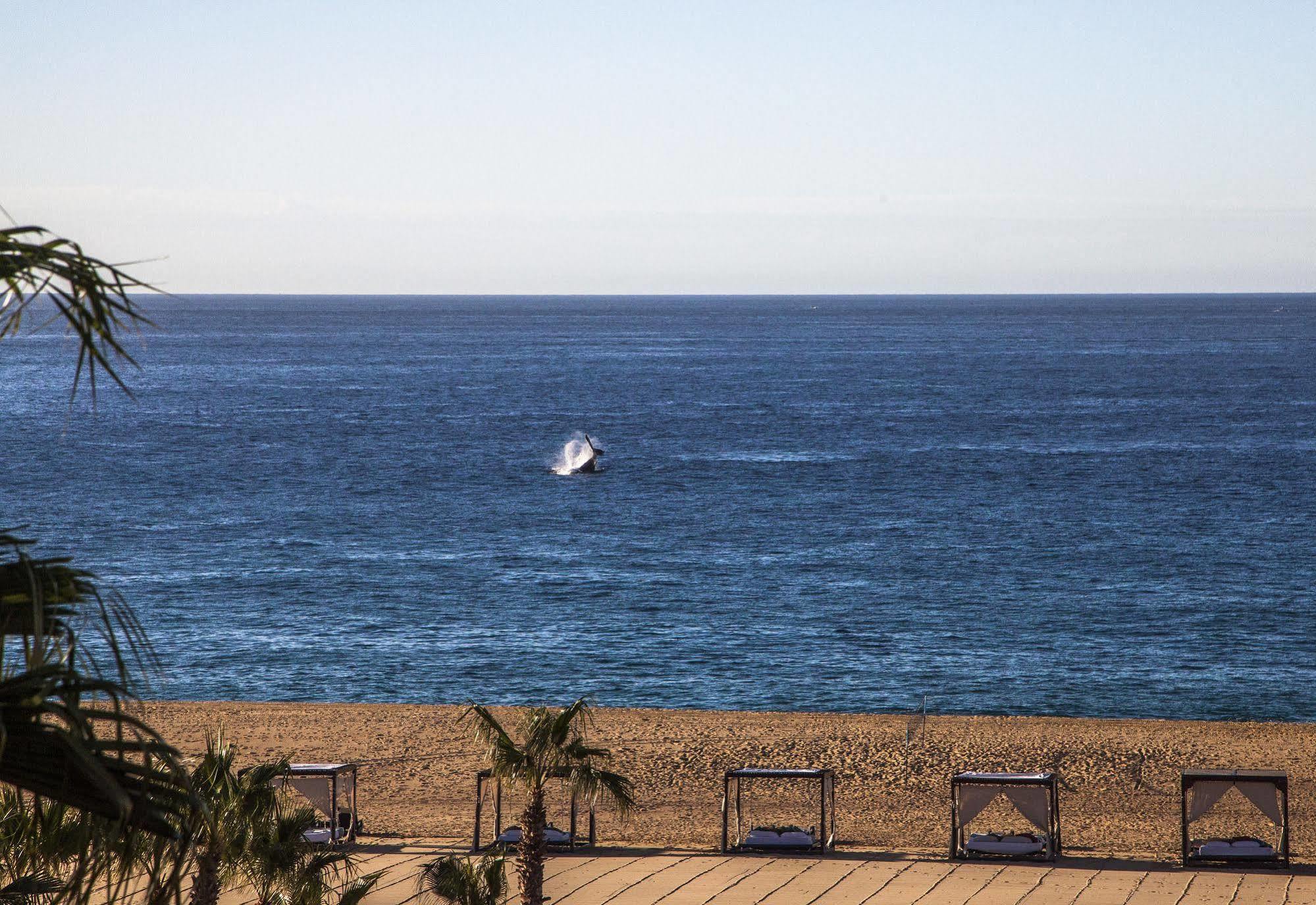 The Towers At Pueblo Bonito Pacifica (Adults Only) 호텔 카보산루카스 외부 사진